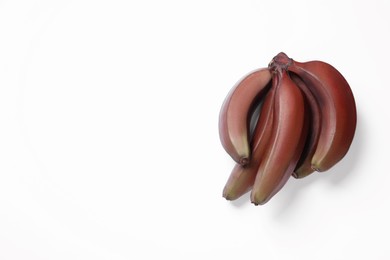 Photo of Tasty red baby bananas on white background, top view