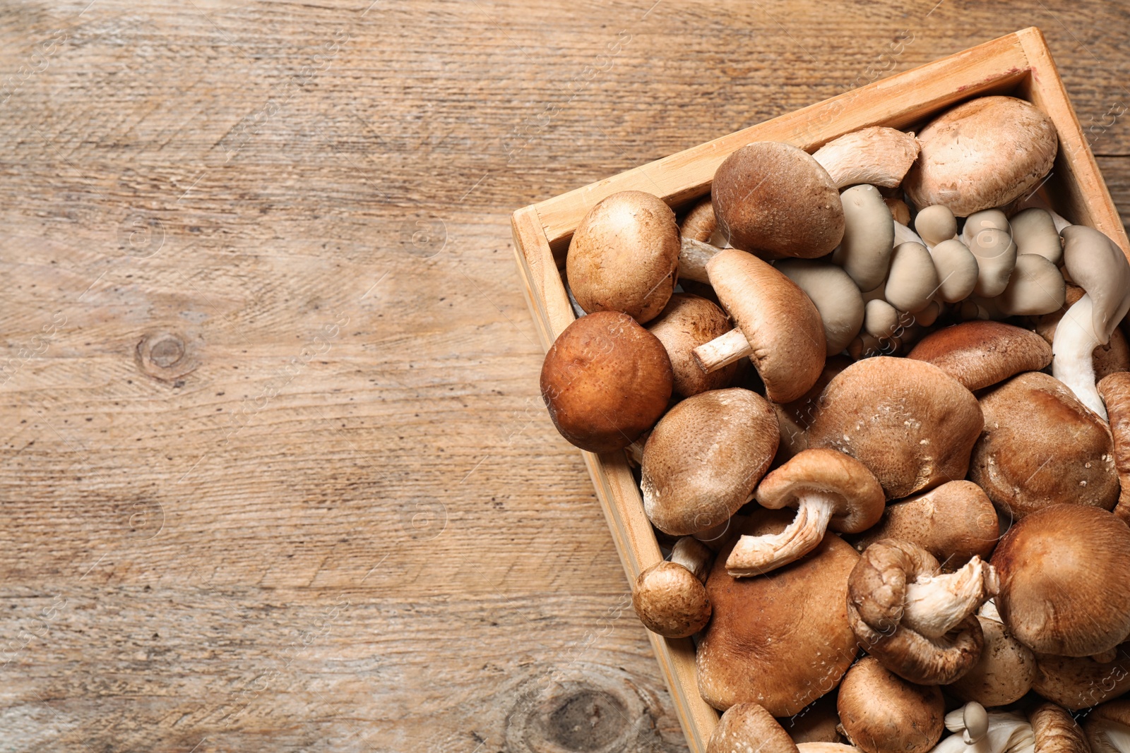 Photo of Different wild mushrooms in crate on wooden background, top view. Space for text