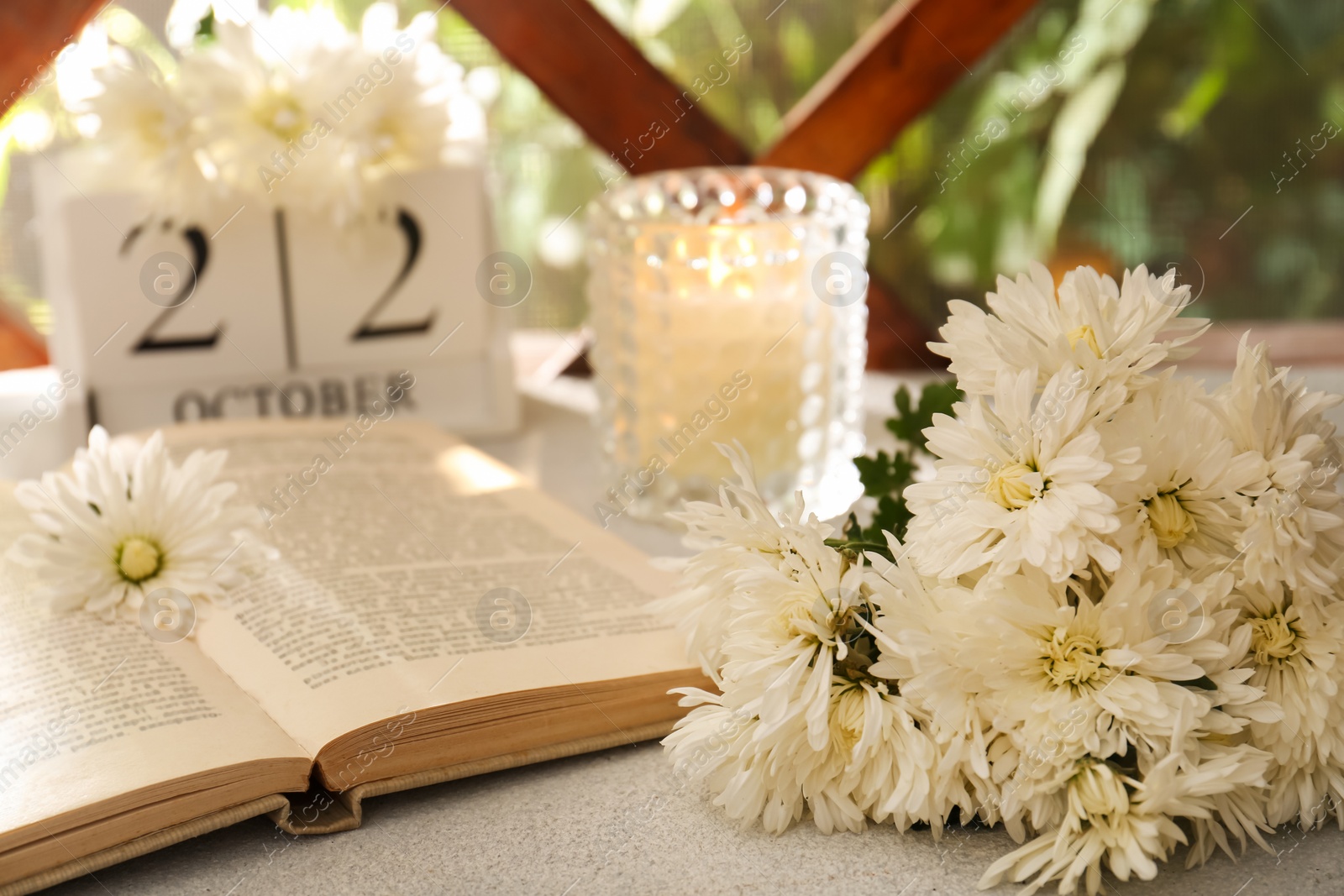 Photo of Beautiful white chrysanthemum flowers, open book and stylish decor on light grey table