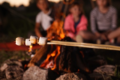 Fried marshmallows on sticks against blurred background, closeup. Summer camp