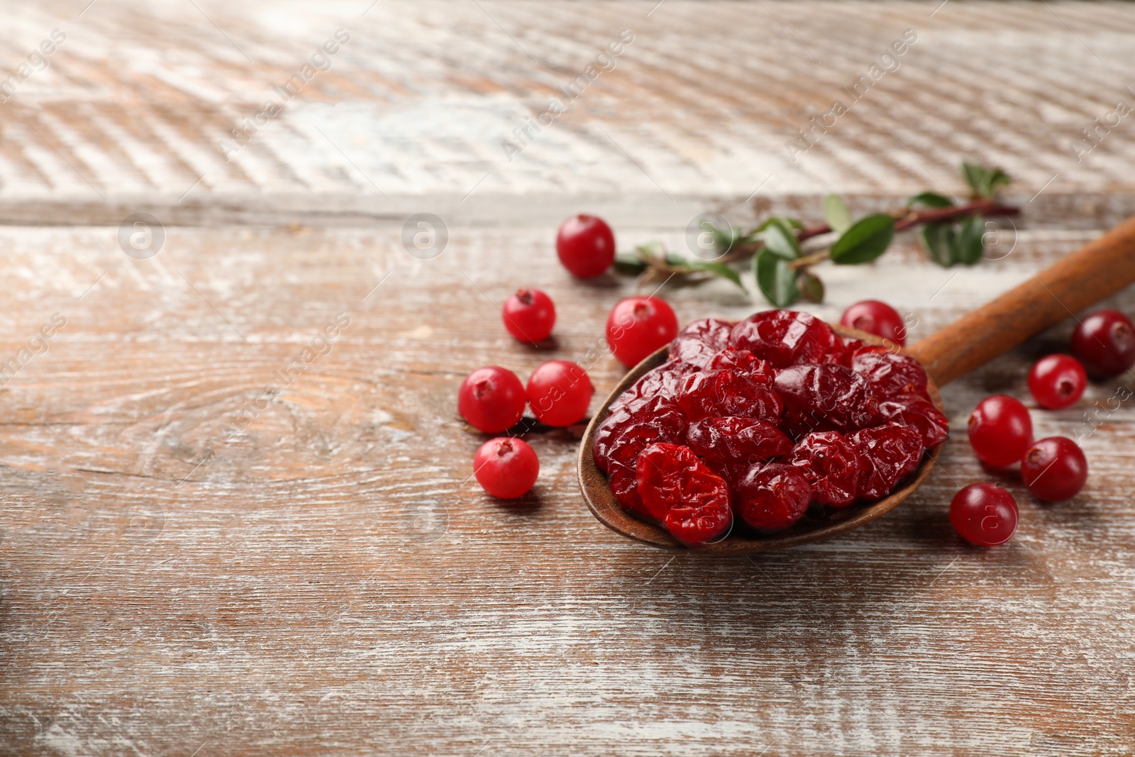 Photo of Tasty dried cranberries in spoon and fresh ones on rustic wooden table. Space for text