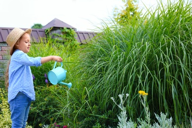 Little girl watering plant outdoors. Home gardening