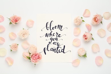 Photo of Frame of beautiful flowers and paper card with handwritten text Bloom where you are planted on white background, flat lay