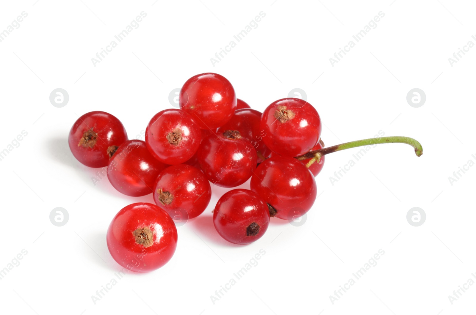 Photo of Many fresh ripe red currants isolated on white