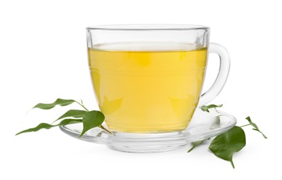 Fresh green tea in glass cup, leaves and saucer isolated on white