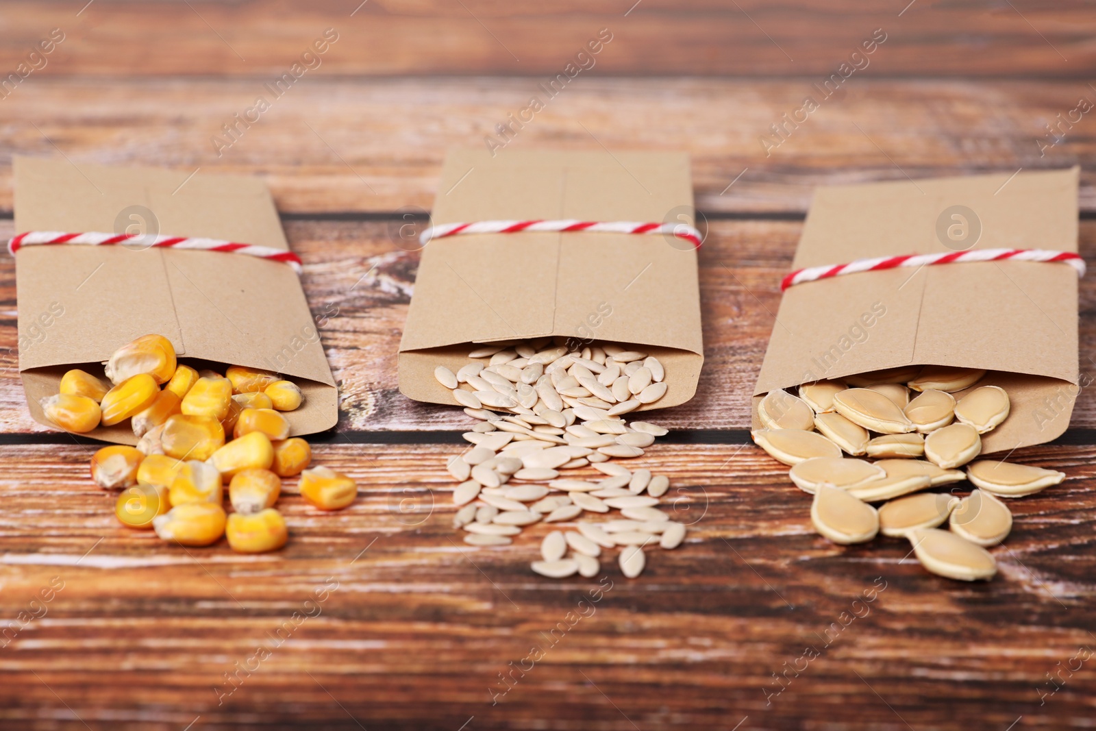 Photo of Many different vegetable seeds on wooden table, closeup