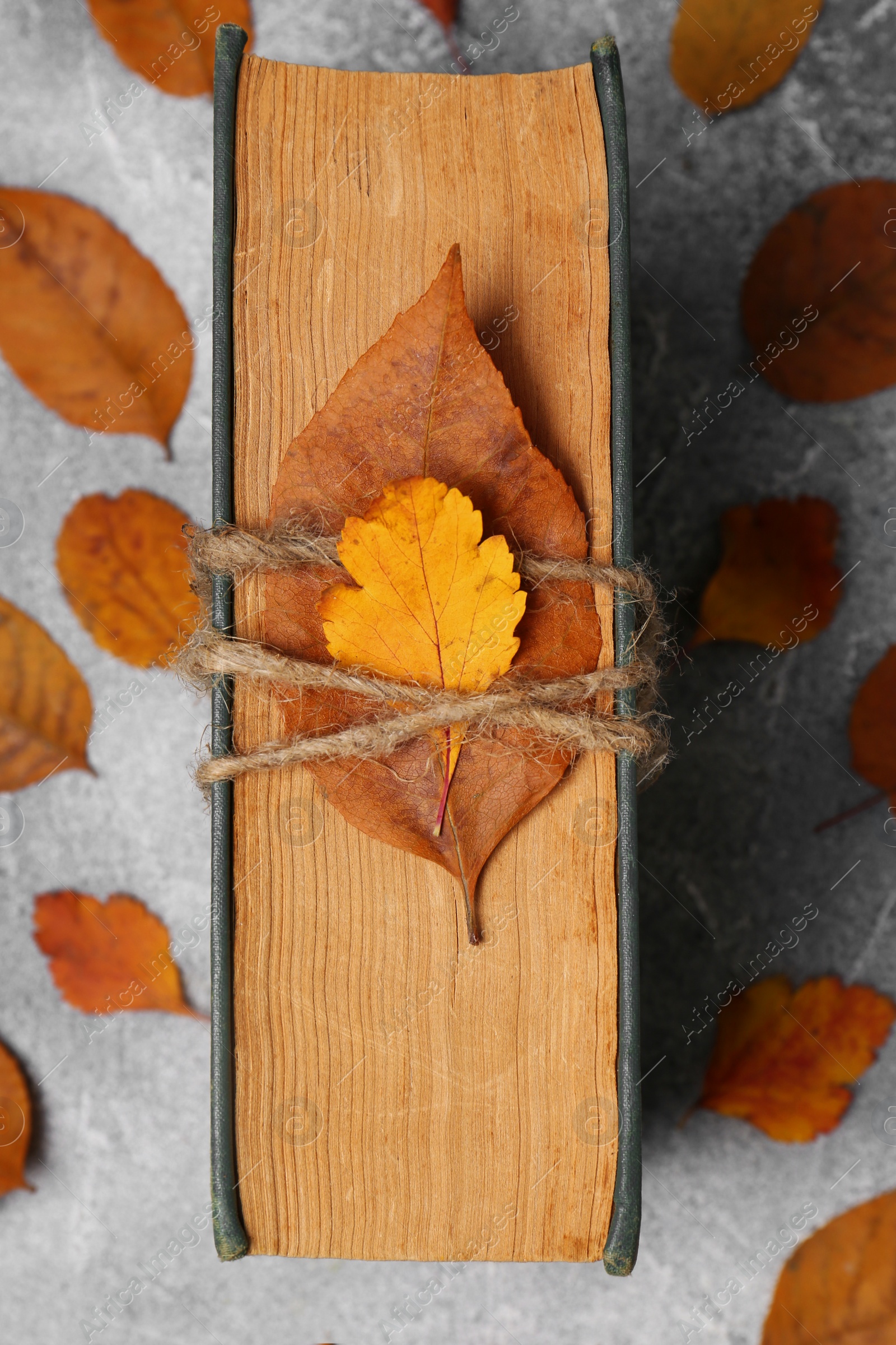 Photo of Book decorated with autumn leaves on light gray table, top view