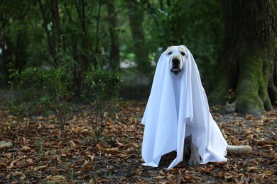 Photo of Cute Labrador Retriever dog wearing ghost costume in autumn park on Halloween. Space for text