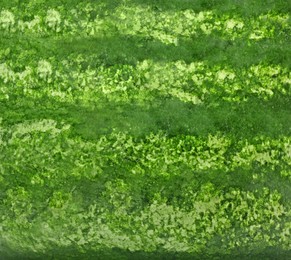 Image of Green striped rind of watermelon as background, closeup