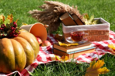 Books, cup of tea and pumpkin on plaid outdoors. Autumn atmosphere