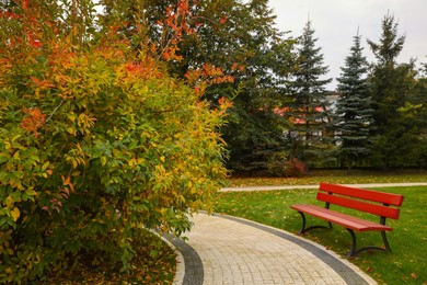 Photo of Beautiful trees, pathway and bench in park