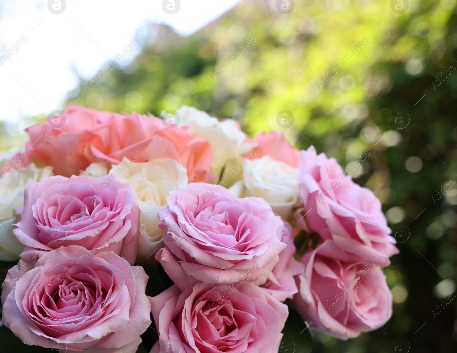 Photo of Beautiful bouquet of aromatic roses outdoors, closeup