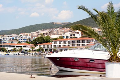 Beautiful view of city pier with moored boat and palm on sunny day