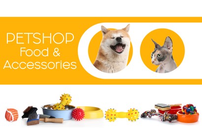 Image of Advertising poster design for pet shop. Cute dog, cat and different accessories on color background