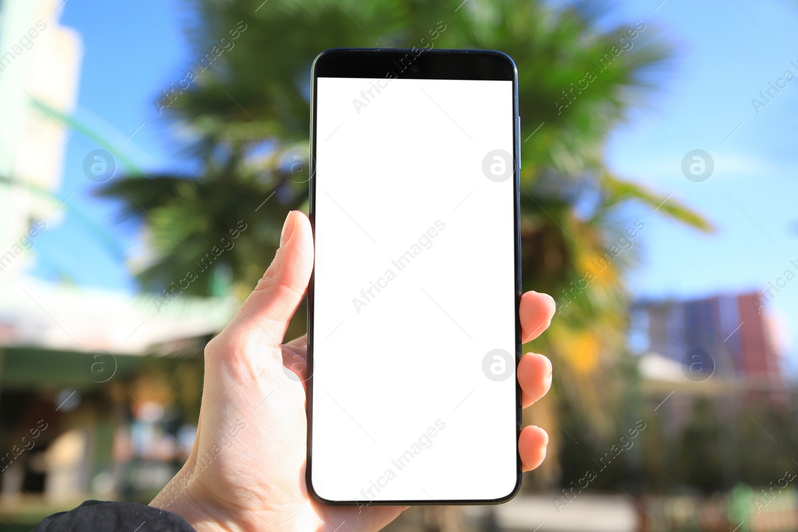 Photo of Man using weather forecast app on smartphone outdoors on sunny day, closeup