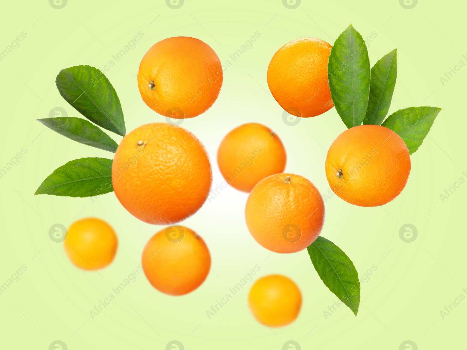 Image of Ripe oranges with leaves flying on pale green background