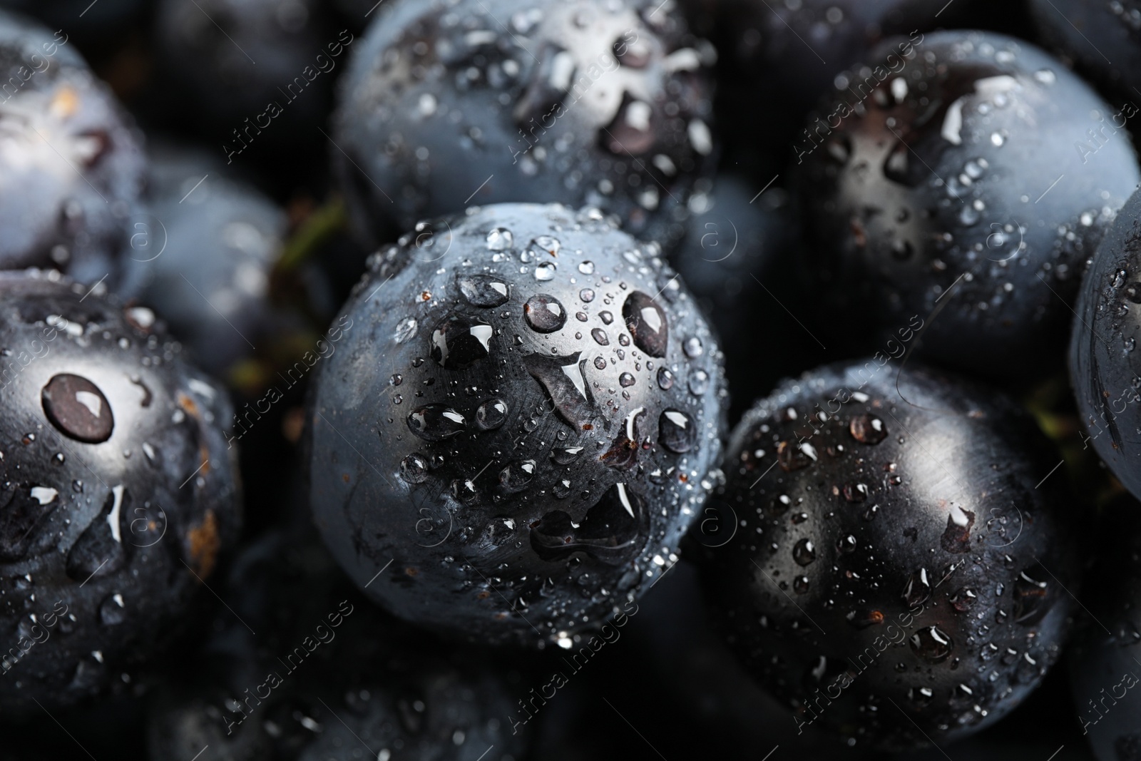 Photo of Fresh ripe juicy black grapes as background, closeup view