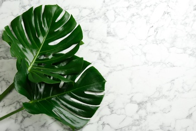 Beautiful monstera leaves on white marble background, flat lay with space for text. Tropical plant