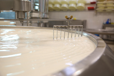 Milk in curd preparation tank at cheese factory, closeup