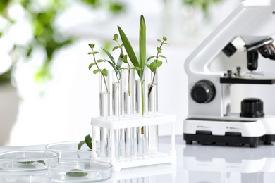 Photo of Laboratory glassware with different plants on table against blurred background. Chemistry research