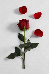 Honeymoon. Red rose and petals on bed, top view