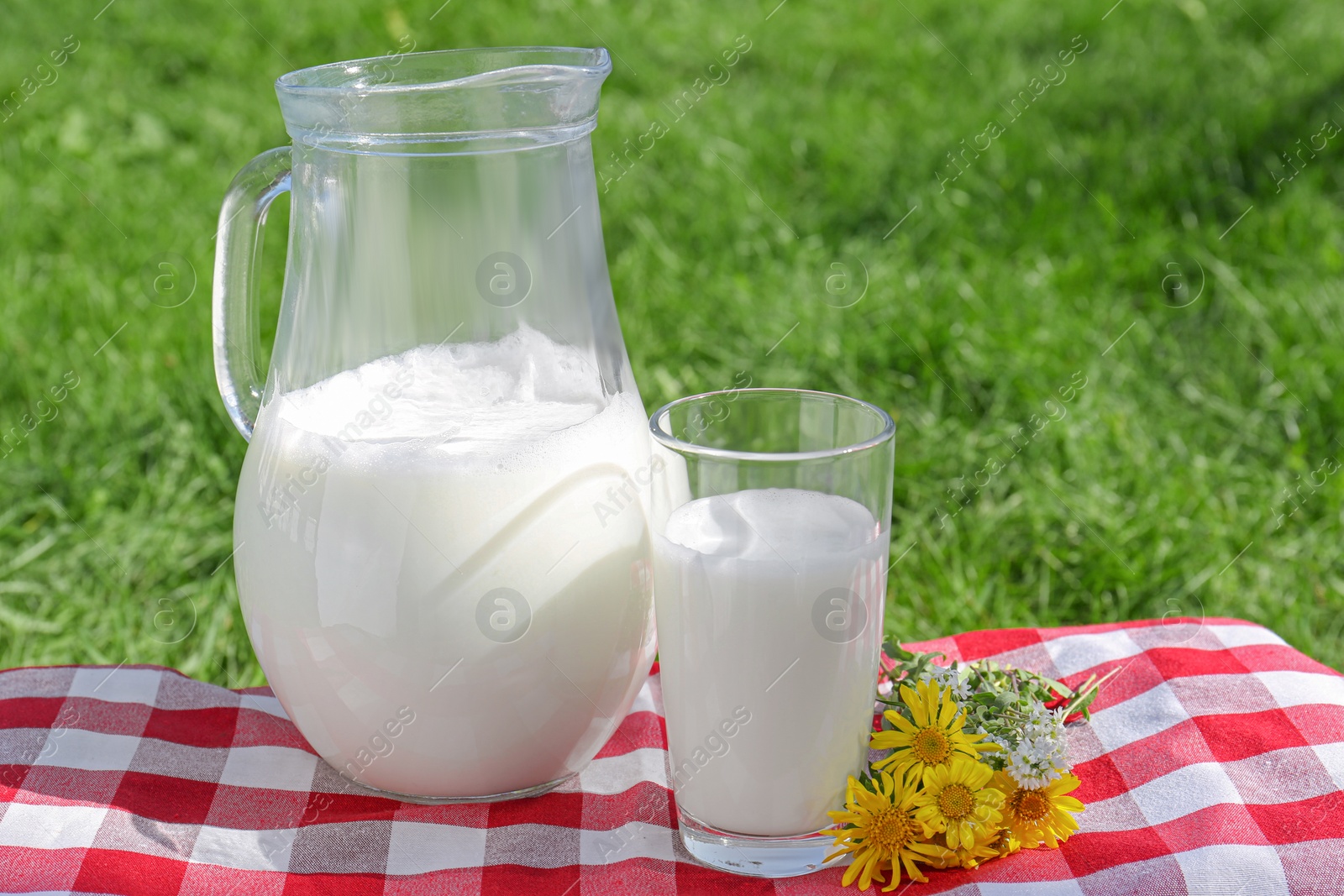 Photo of Jug and glass of fresh milk and flowers on checkered blanket outdoors