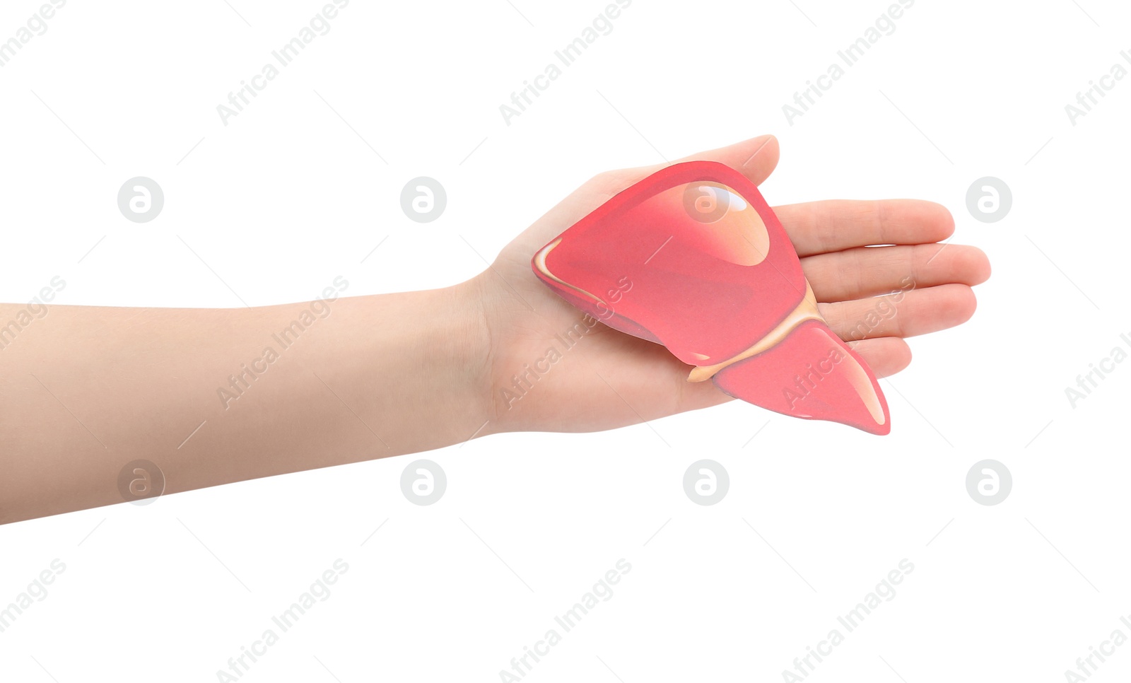 Photo of Woman holding paper liver on white background, closeup and top view. Hepatitis treatment