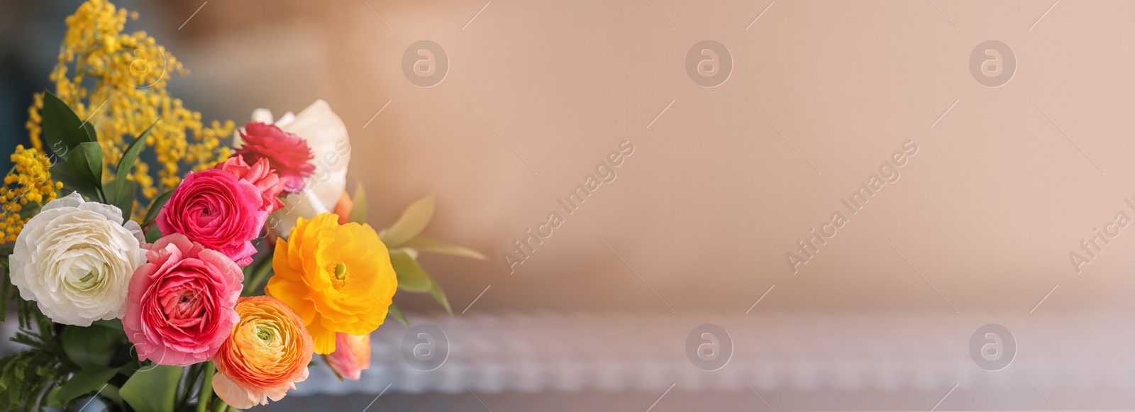 Image of Beautiful ranunculus flowers on blurred background, space for text. Banner design