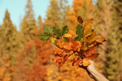 Photo of Woman holding bunch of bright autumn leaves on blurred background. Space for text