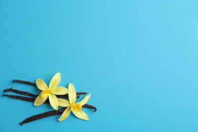 Flat lay composition with vanilla sticks and flowers on blue background. Space for text