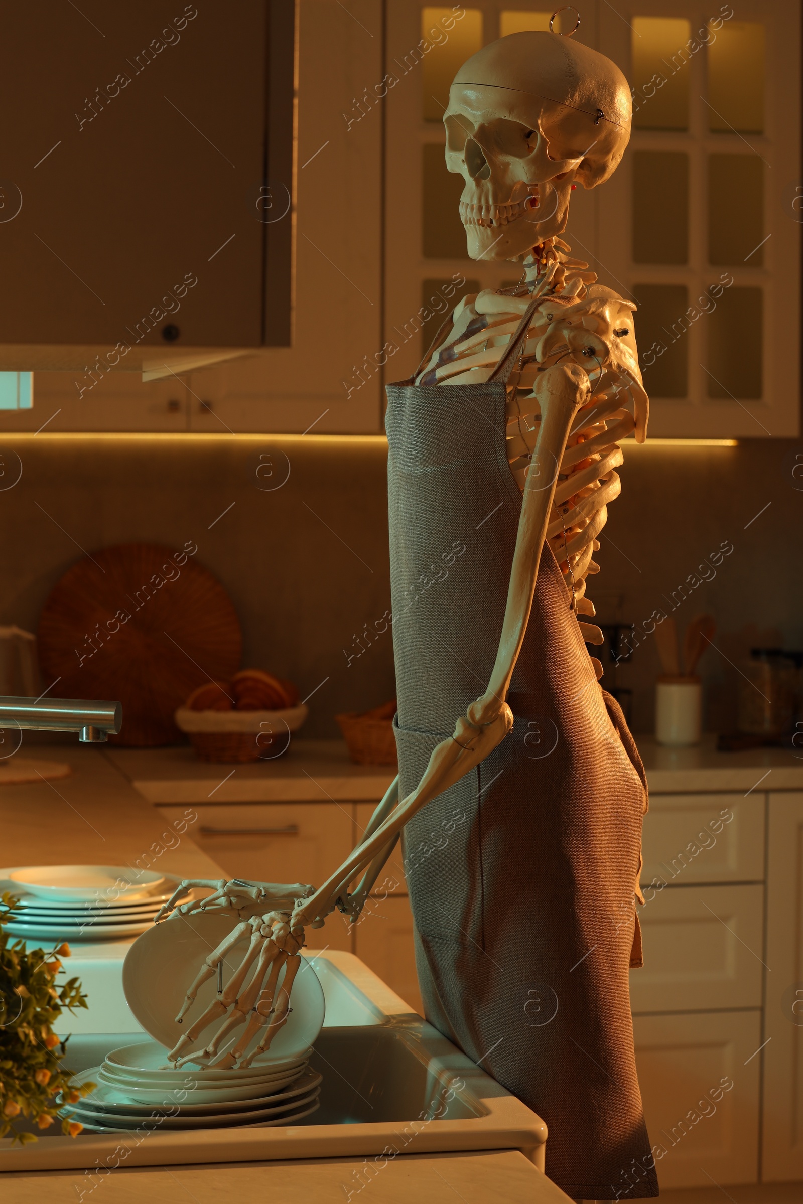 Photo of Human skeleton washing dishes in kitchen sink at night