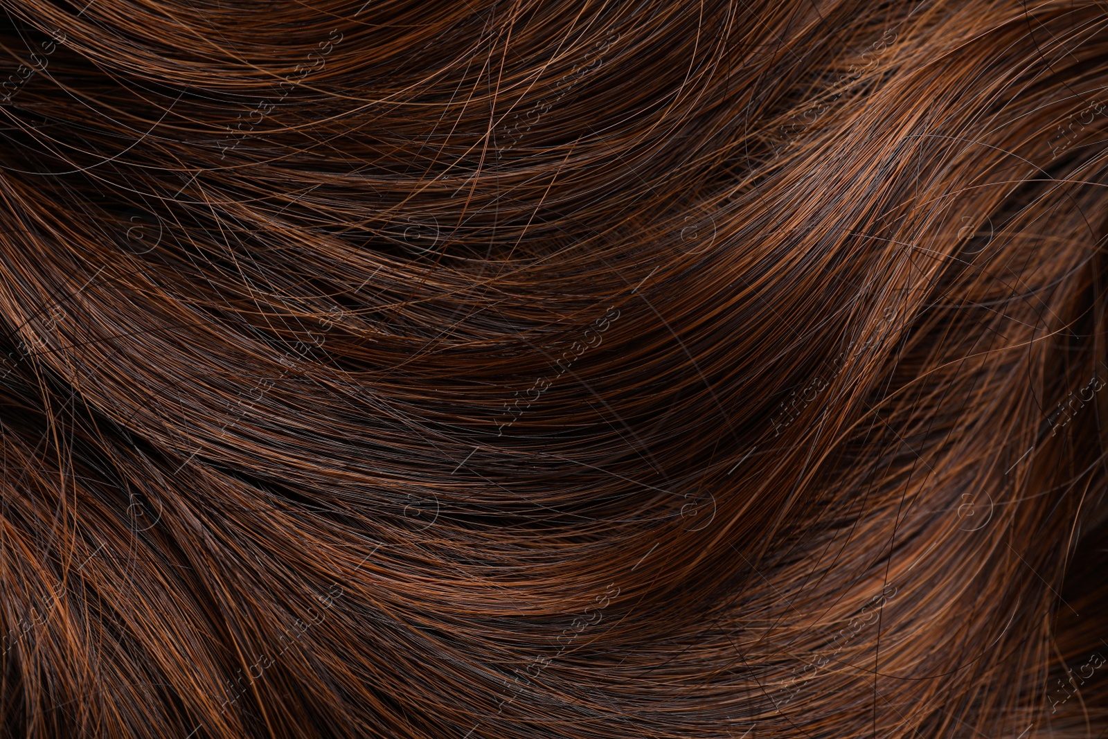 Photo of Beautiful brown hair as background, closeup view