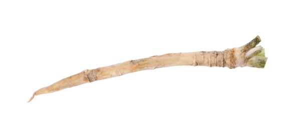 Photo of Fresh horseradish root isolated on white, top view