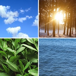 Collage with photos of water, green plants, blue sky and sun. Beautiful nature 