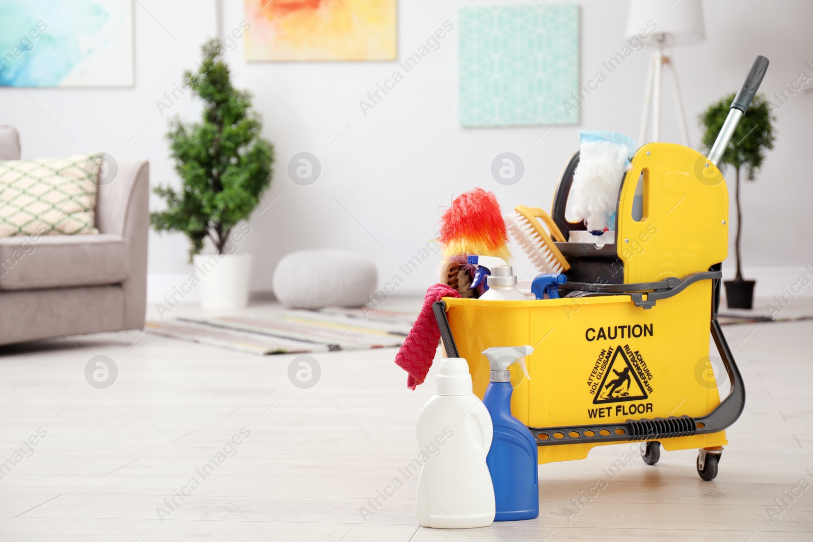 Photo of Set of cleaning supplies on floor indoors