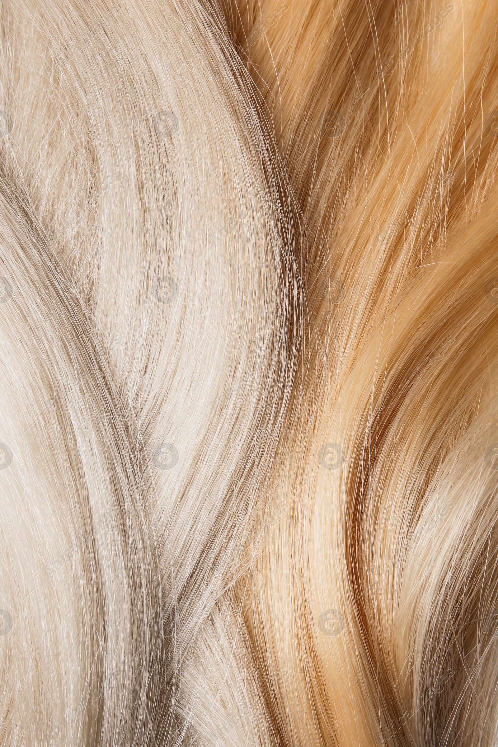 Photo of Strands of different color hair as background, closeup