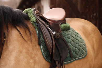 Photo of Horse with saddle outdoors, closeup. Lovely domesticated pet