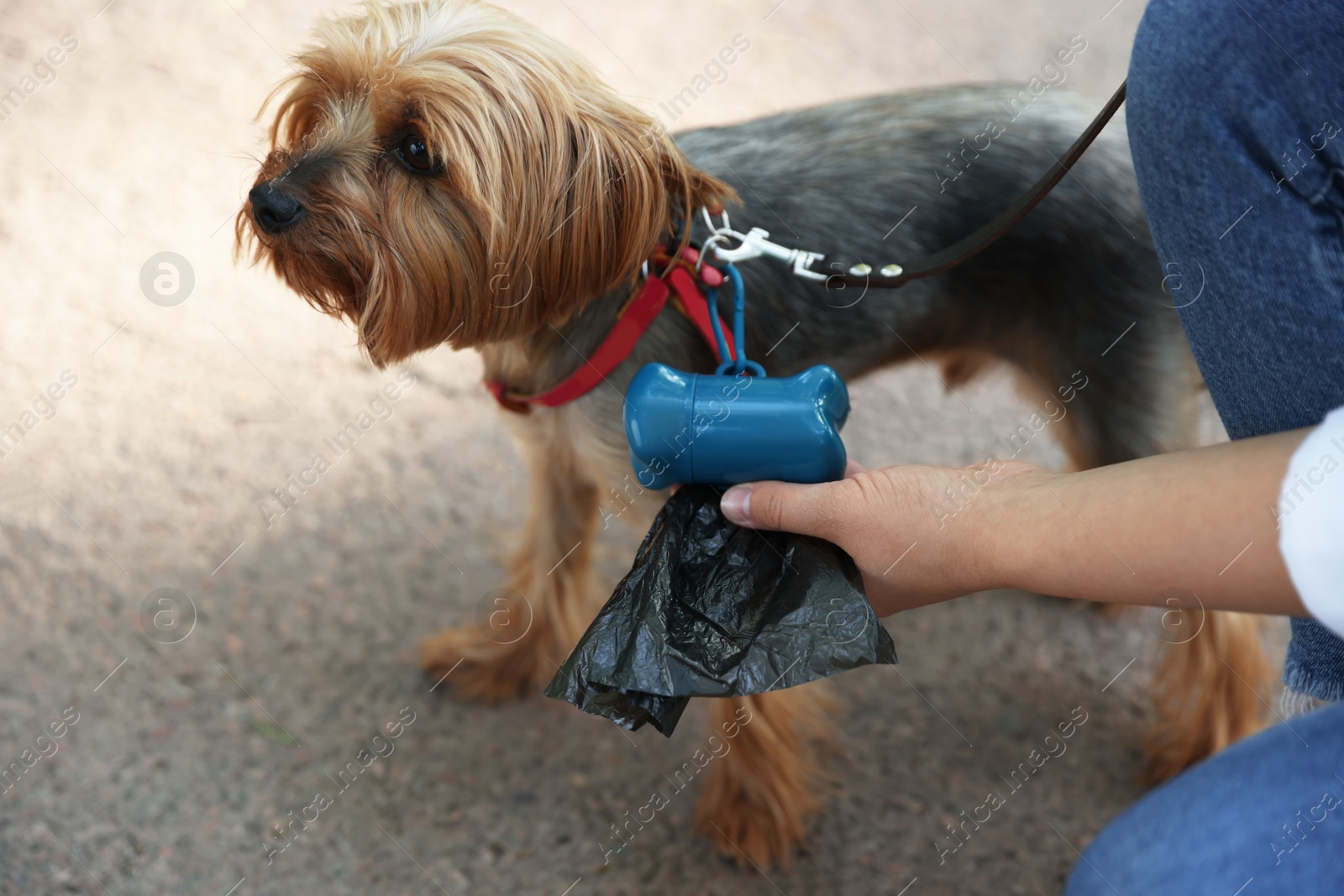 Photo of Woman with cute dog taking waste bag from holder outdoors, closeup