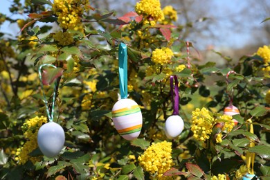 Beautifully painted Easter eggs hanging on tree outdoors, closeup