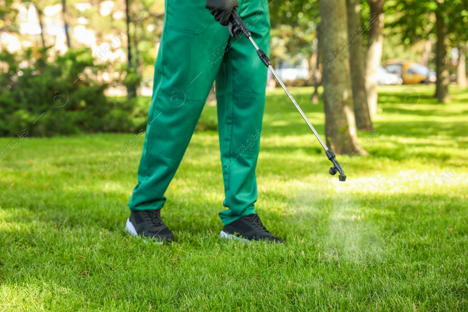 Photo of Worker spraying pesticide onto green lawn outdoors, closeup. Pest control