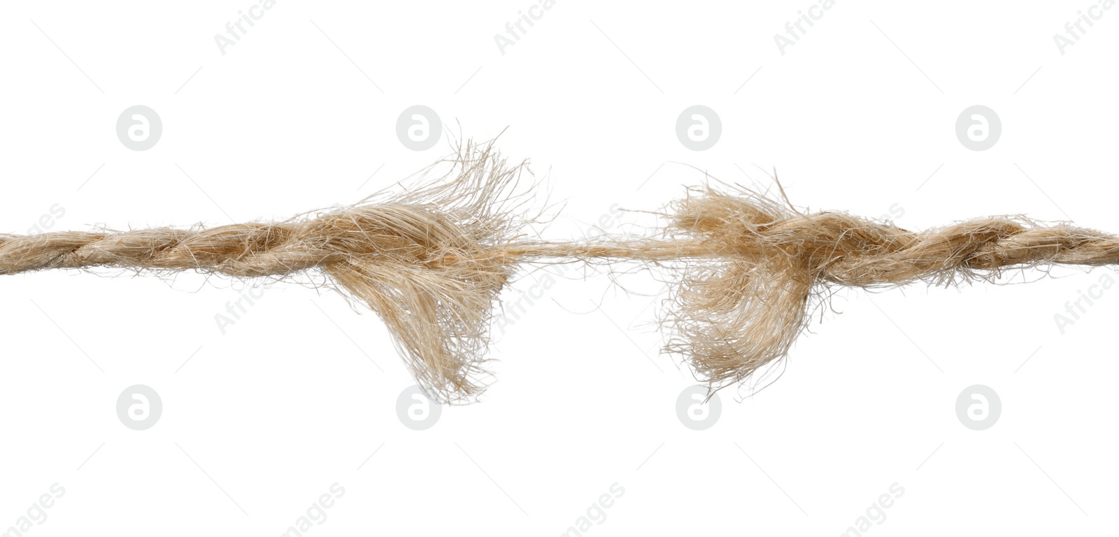 Photo of Torning hemp rope isolated on white. Natural material