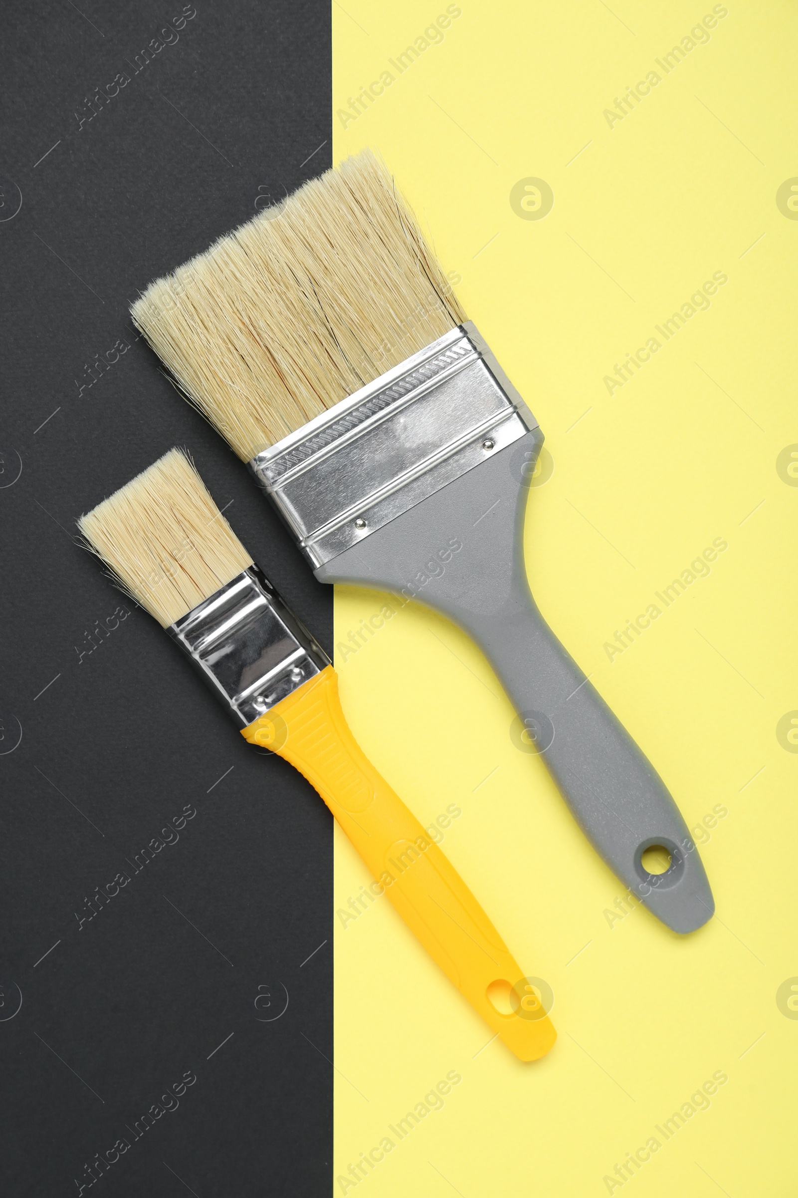 Photo of Two paint brushes on color background, flat lay