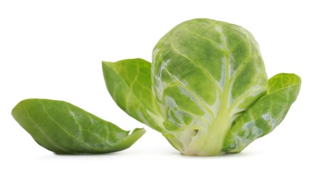Photo of Fresh green brussels sprout and leaf on white background