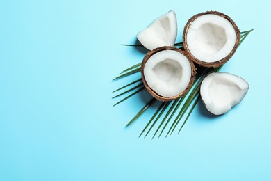 Ripe coconut on color background, top view