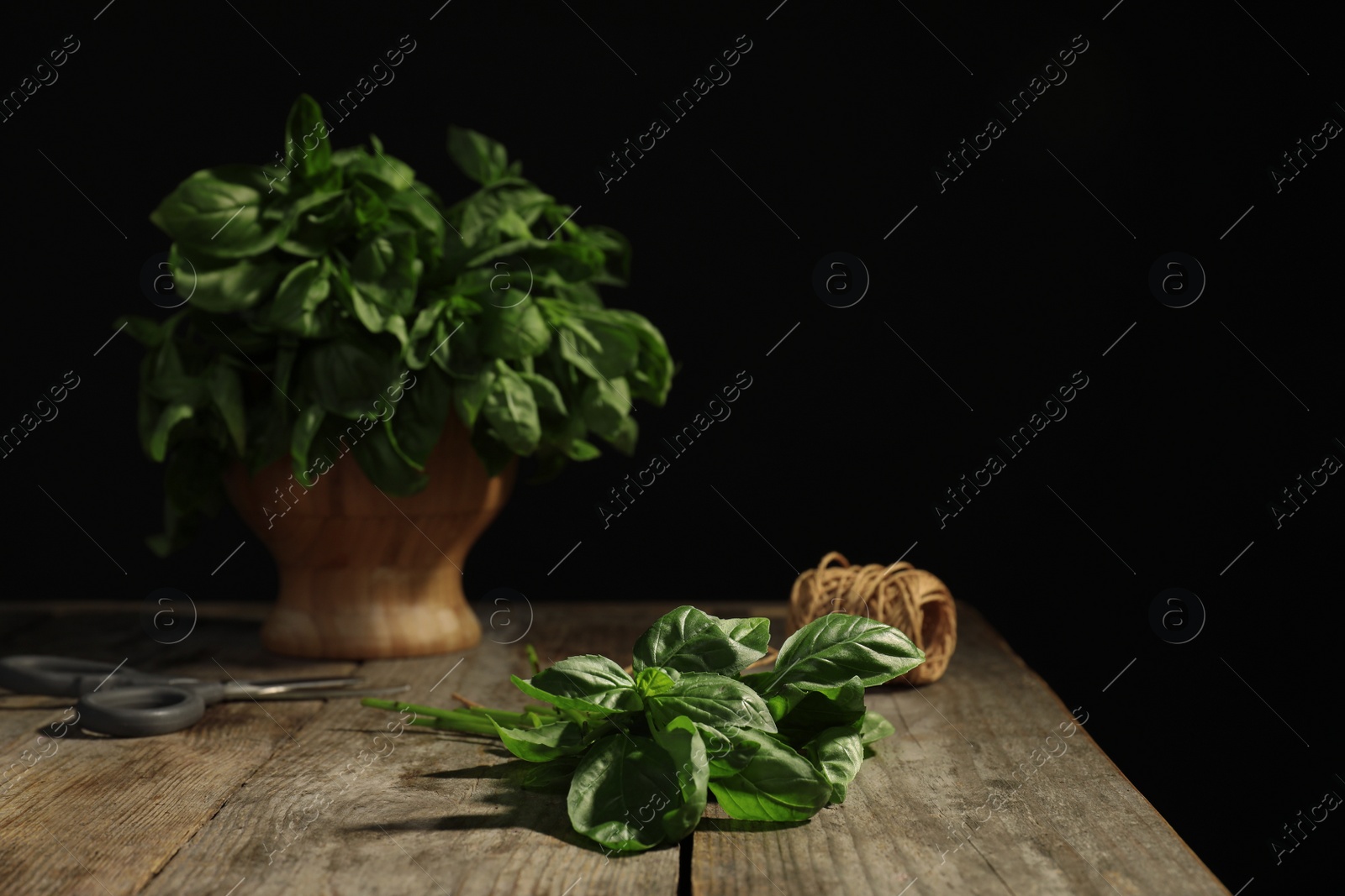 Photo of Fresh basil leaves on wooden table against black background. Space for text