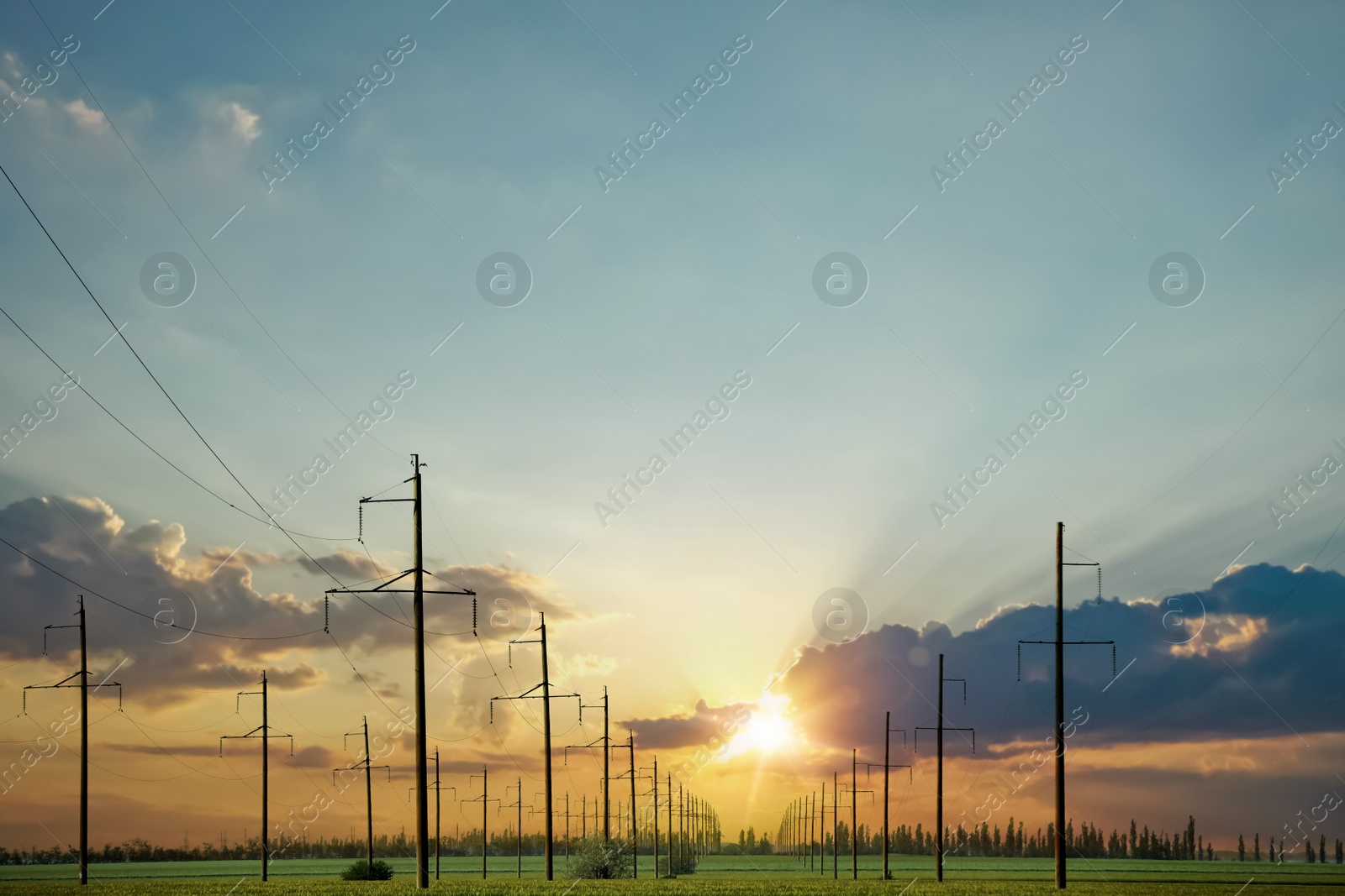 Photo of Telephone poles with cables in field under clear sky