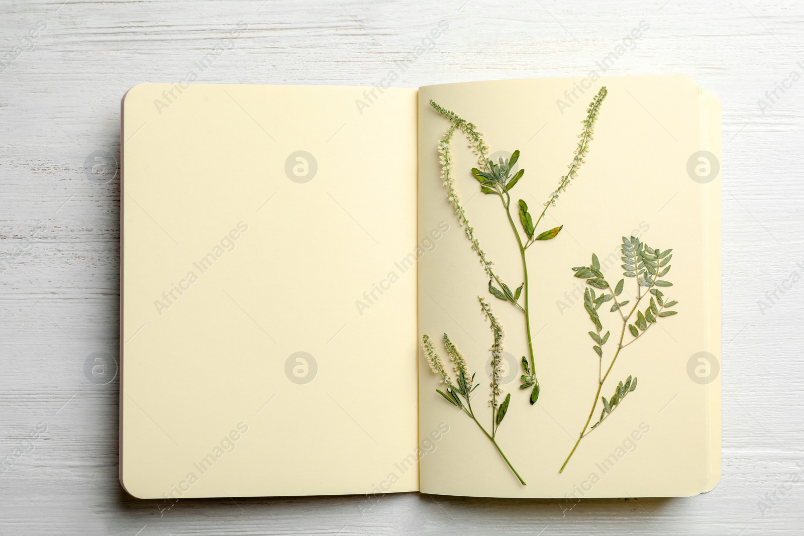 Photo of Wild dried meadow flowers in notebook on wooden background, top view