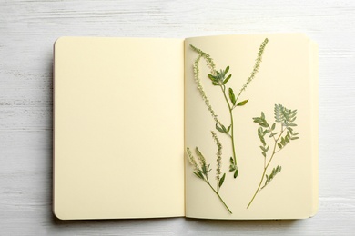 Wild dried meadow flowers in notebook on wooden background, top view