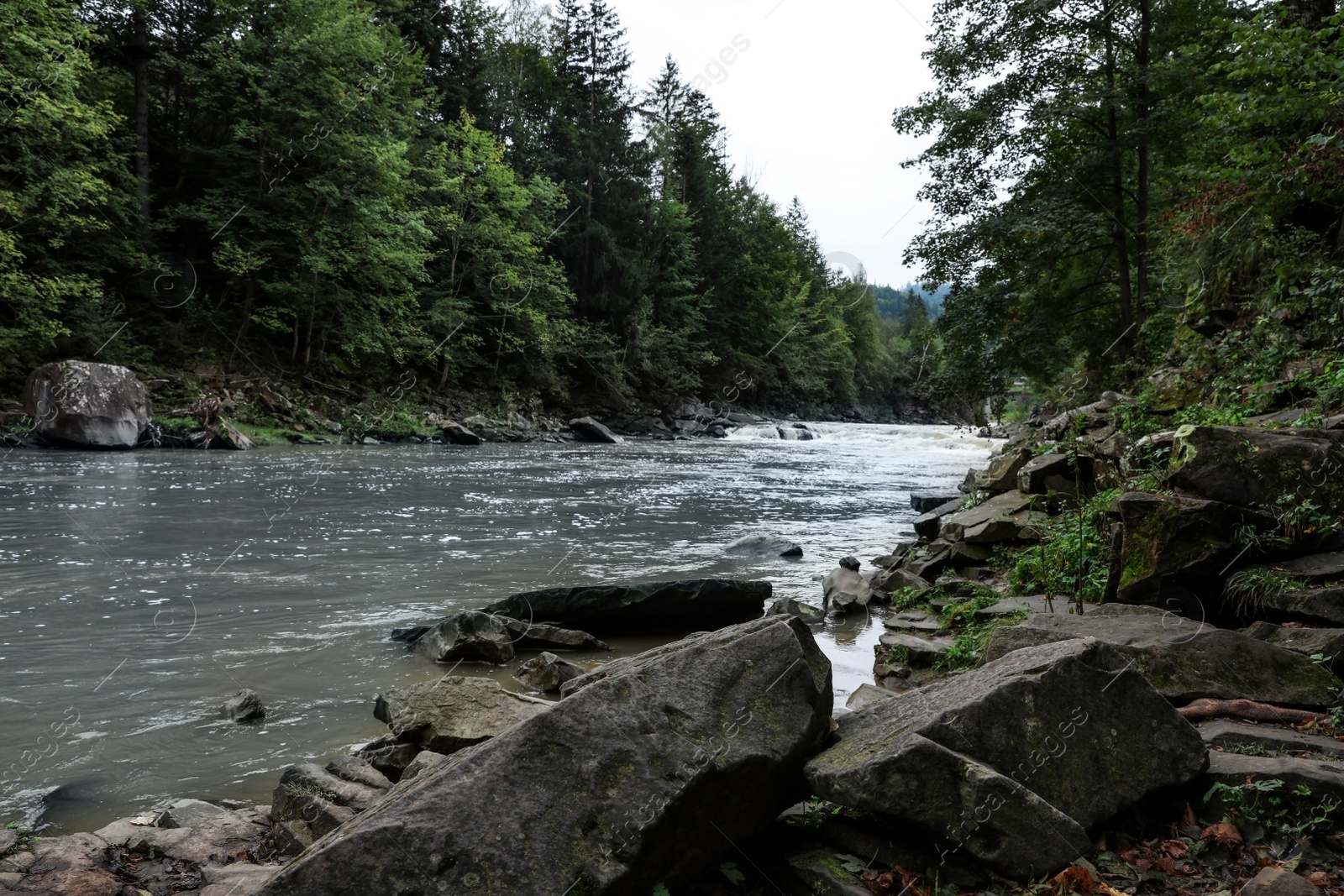 Photo of Wild mountain river flowing along rocky banks in forest