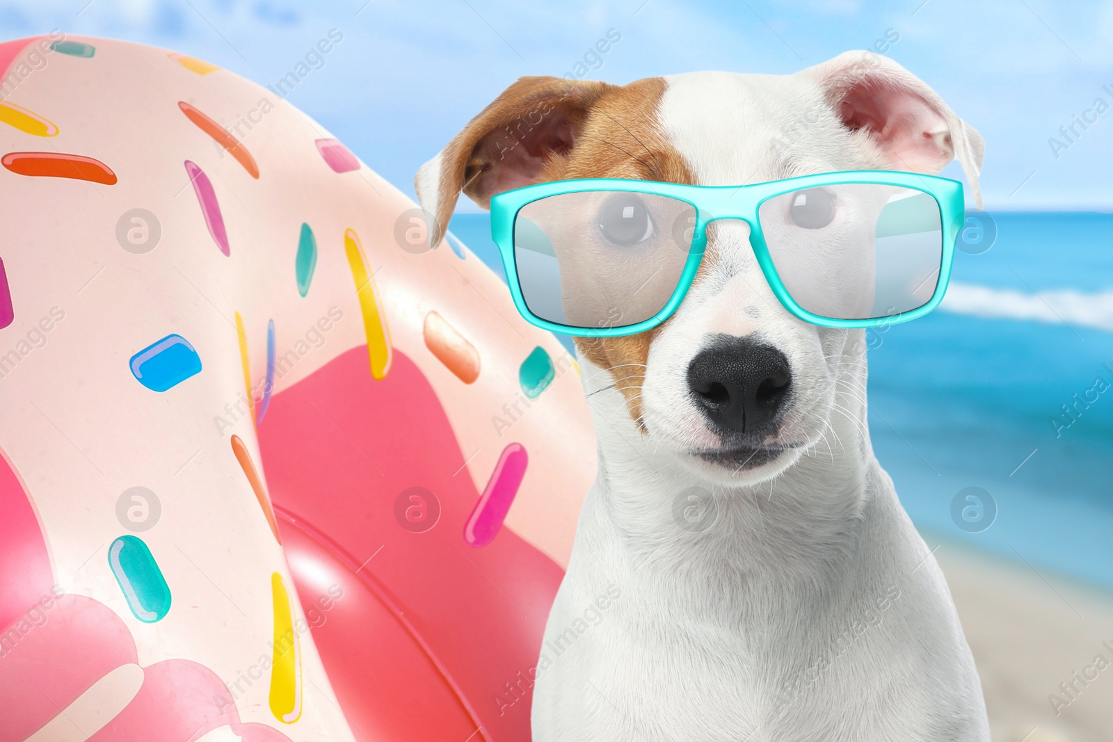 Image of Cute funny dog with sunglasses in inflatable ring at pet friendly beach